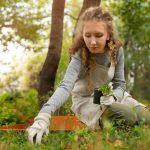 5 soluții pentru a îmbunătăți solul grădinii tale fără chimicale