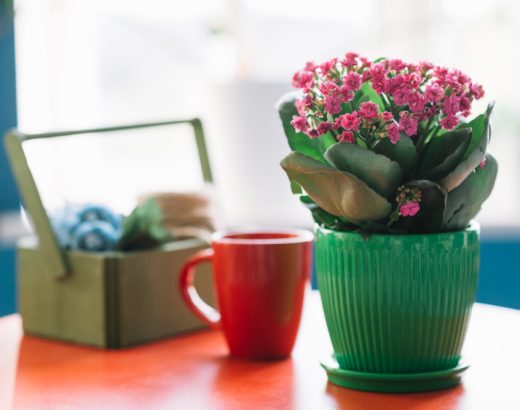 Cum alegi ghivecele potrivite pentru un decor coerent