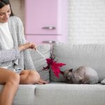 Cum amenajezi o locuință potrivită pentru animale de companie